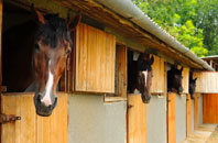 free Heugh Head stable construction quotes